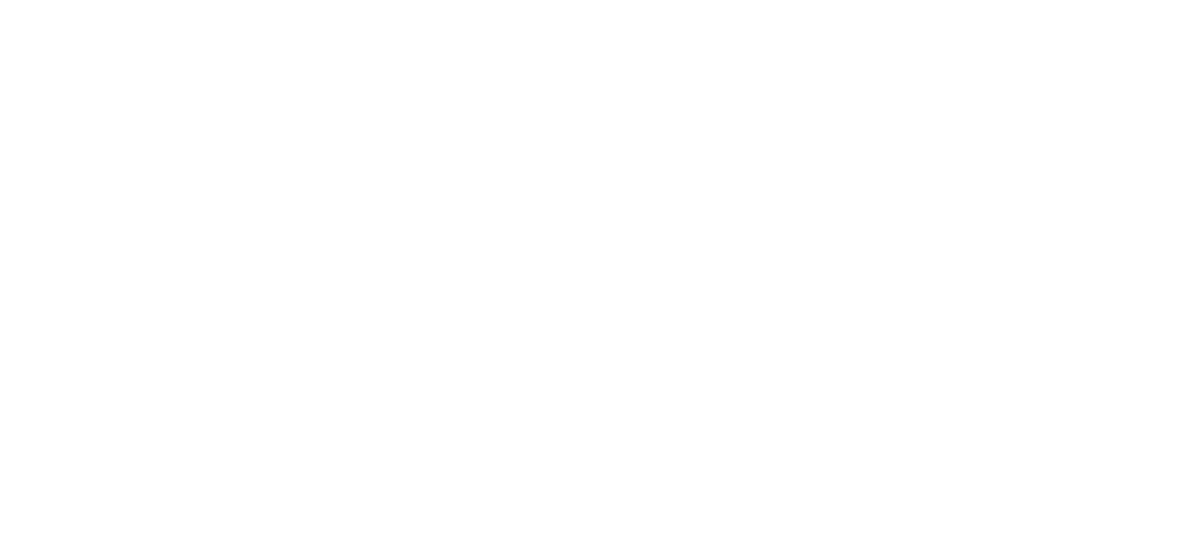 Blog San Martín